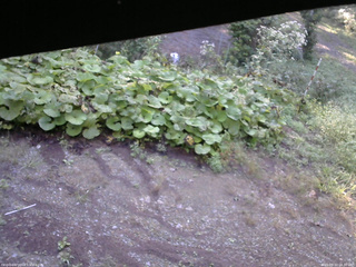 長野県菅平高原 ゆたか山荘 駐車場 2025/09/10 06:30