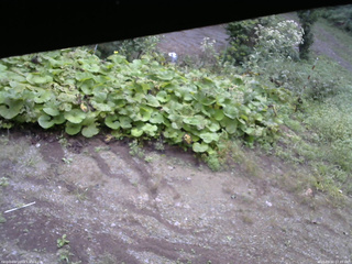 長野県菅平高原 ゆたか山荘 駐車場 2025/09/10 07:45