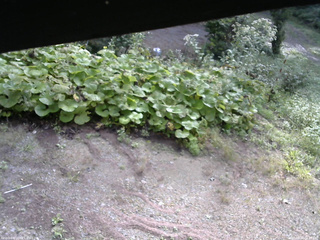 長野県菅平高原 ゆたか山荘 駐車場 2025/09/10 08:15