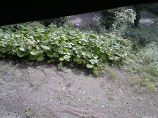 長野県菅平高原 ゆたか山荘 駐車場 2025/09/10 08:30