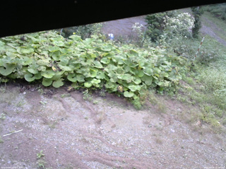 長野県菅平高原 ゆたか山荘 駐車場 2025/09/10 08:45