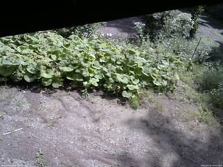長野県菅平高原 ゆたか山荘 駐車場 2025/09/10 09:45
