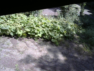 長野県菅平高原 ゆたか山荘 駐車場 2025/09/10 10:15