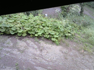 長野県菅平高原 ゆたか山荘 駐車場 2025/09/10 13:45