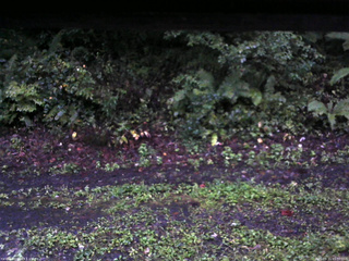 長野県菅平高原 ゆたか山荘 南側 2025/09/11 05:30