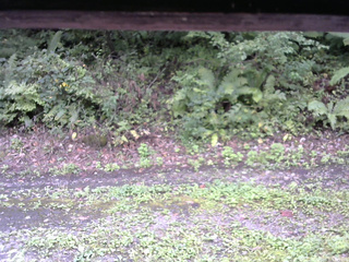 長野県菅平高原 ゆたか山荘 南側 2025/09/11 11:15