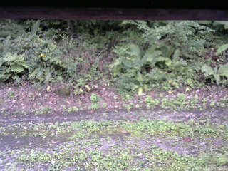 長野県菅平高原 ゆたか山荘 南側 2025/09/11 11:45