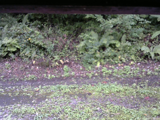 長野県菅平高原 ゆたか山荘 南側 2025/09/11 16:45