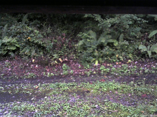 長野県菅平高原 ゆたか山荘 南側 2025/09/11 18:00