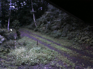 長野県菅平高原 ゆたか山荘 東側(坂下) 2025/09/11 05:30