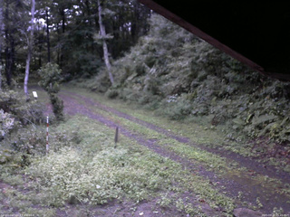 長野県菅平高原 ゆたか山荘 東側(坂下) 2025/09/11 05:45