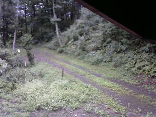 長野県菅平高原 ゆたか山荘 東側(坂下) 2025/09/11 06:30