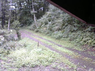 長野県菅平高原 ゆたか山荘 東側(坂下) 2025/09/11 07:45