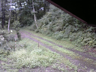 長野県菅平高原 ゆたか山荘 東側(坂下) 2025/09/11 08:30