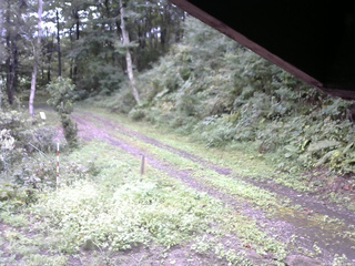 長野県菅平高原 ゆたか山荘 東側(坂下) 2025/09/11 08:45