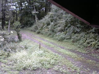 長野県菅平高原 ゆたか山荘 東側(坂下) 2025/09/11 09:00