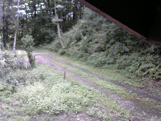 長野県菅平高原 ゆたか山荘 東側(坂下) 2025/09/11 11:00