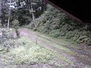 長野県菅平高原 ゆたか山荘 東側(坂下) 2025/09/11 11:15