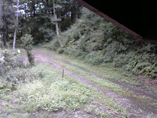 長野県菅平高原 ゆたか山荘 東側(坂下) 2025/09/11 11:30
