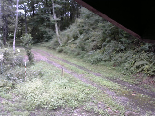 長野県菅平高原 ゆたか山荘 東側(坂下) 2025/09/11 12:15