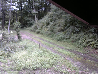 長野県菅平高原 ゆたか山荘 東側(坂下) 2025/09/11 12:45