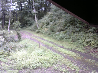 長野県菅平高原 ゆたか山荘 東側(坂下) 2025/09/11 14:45