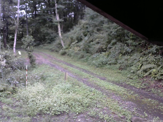 長野県菅平高原 ゆたか山荘 東側(坂下) 2025/09/11 17:30