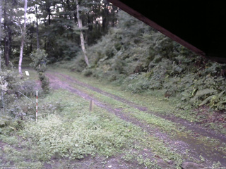 長野県菅平高原 ゆたか山荘 東側(坂下) 2025/09/11 17:45