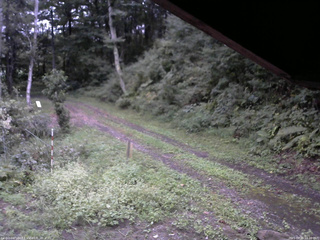 長野県菅平高原 ゆたか山荘 東側(坂下) 2025/09/11 18:00