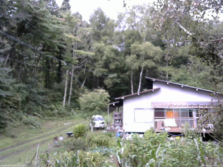 長野県菅平高原 ゆたか山荘 西側(坂上) 2025/09/11 09:00