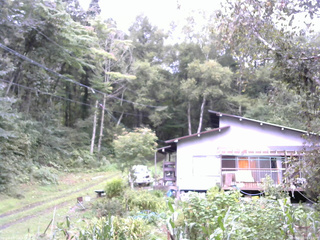 長野県菅平高原 ゆたか山荘 西側(坂上) 2025/09/11 09:45
