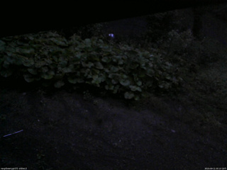 長野県菅平高原 ゆたか山荘 駐車場 2025/09/11 05:15