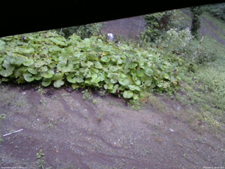 長野県菅平高原 ゆたか山荘 駐車場 2025/09/11 06:00