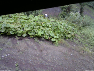 長野県菅平高原 ゆたか山荘 駐車場 2025/09/11 06:15