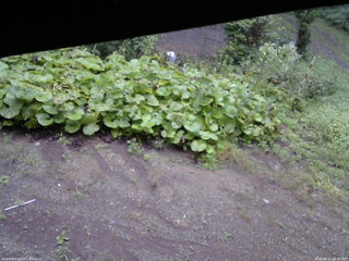 長野県菅平高原 ゆたか山荘 駐車場 2025/09/11 06:30