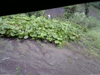長野県菅平高原 ゆたか山荘 駐車場 2025/09/11 06:45