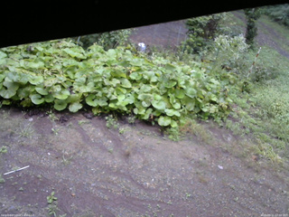 長野県菅平高原 ゆたか山荘 駐車場 2025/09/11 07:00