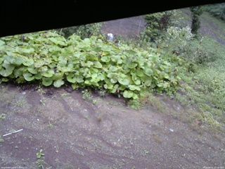 長野県菅平高原 ゆたか山荘 駐車場 2025/09/11 07:30
