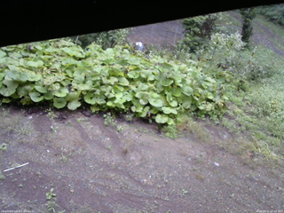 長野県菅平高原 ゆたか山荘 駐車場 2025/09/11 07:45