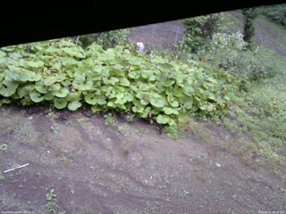 長野県菅平高原 ゆたか山荘 駐車場 2025/09/11 08:00
