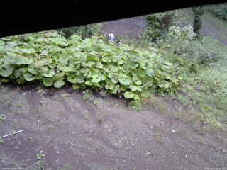 長野県菅平高原 ゆたか山荘 駐車場 2025/09/11 08:15
