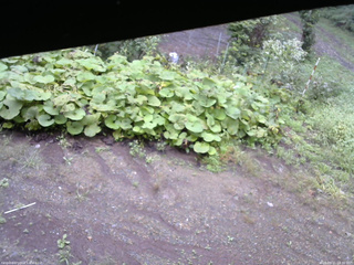 長野県菅平高原 ゆたか山荘 駐車場 2025/09/11 08:30