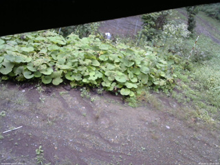 長野県菅平高原 ゆたか山荘 駐車場 2025/09/11 08:45