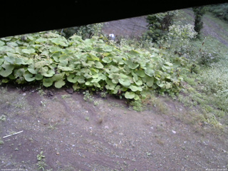 長野県菅平高原 ゆたか山荘 駐車場 2025/09/11 09:00