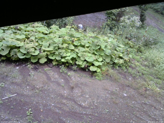 長野県菅平高原 ゆたか山荘 駐車場 2025/09/11 09:15