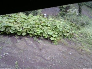 長野県菅平高原 ゆたか山荘 駐車場 2025/09/11 09:45