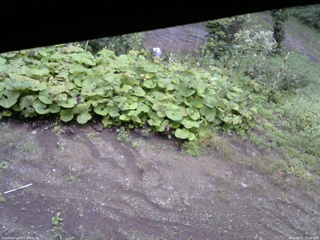 長野県菅平高原 ゆたか山荘 駐車場 2025/09/11 10:00