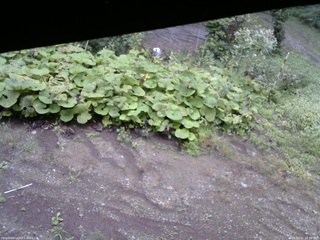 長野県菅平高原 ゆたか山荘 駐車場 2025/09/11 10:30