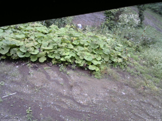 長野県菅平高原 ゆたか山荘 駐車場 2025/09/11 10:45