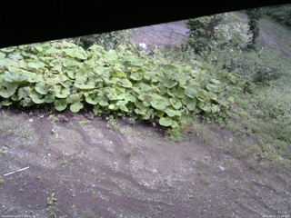 長野県菅平高原 ゆたか山荘 駐車場 2025/09/11 11:00